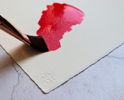 ../articleimages/1016/10070/250_saunders-waterford-white-sheet.png