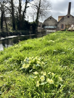 ../articleimages/1026/10124/250_image-3.jfif