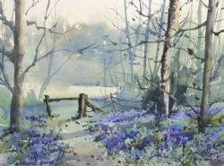 Bluebell Wood by Grahame Booth on Millford 300gsm CP.