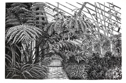 House of Ferns by Aga Kubish on Somerset