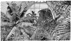 Panoramix by Aga Kubish on Somerset
