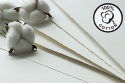 ../articleimages/1030/10156/250_100_cotton_icon_photo.png