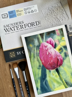 ../articleimages/1030/10164/250_photo-jan-11-2024-10-00-48-am.jpg