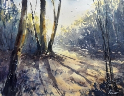 Forest Light by Patrick Visser on Saunders Waterford White CP 