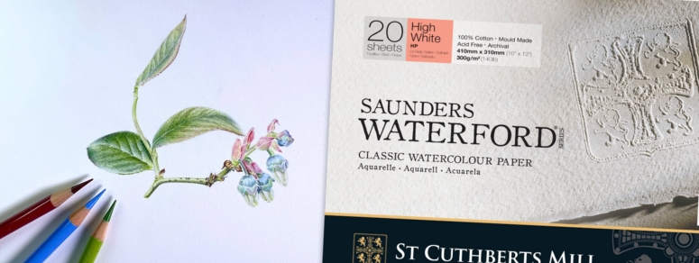 Saunders Waterford with Botanical illustration by Emma Tildesley